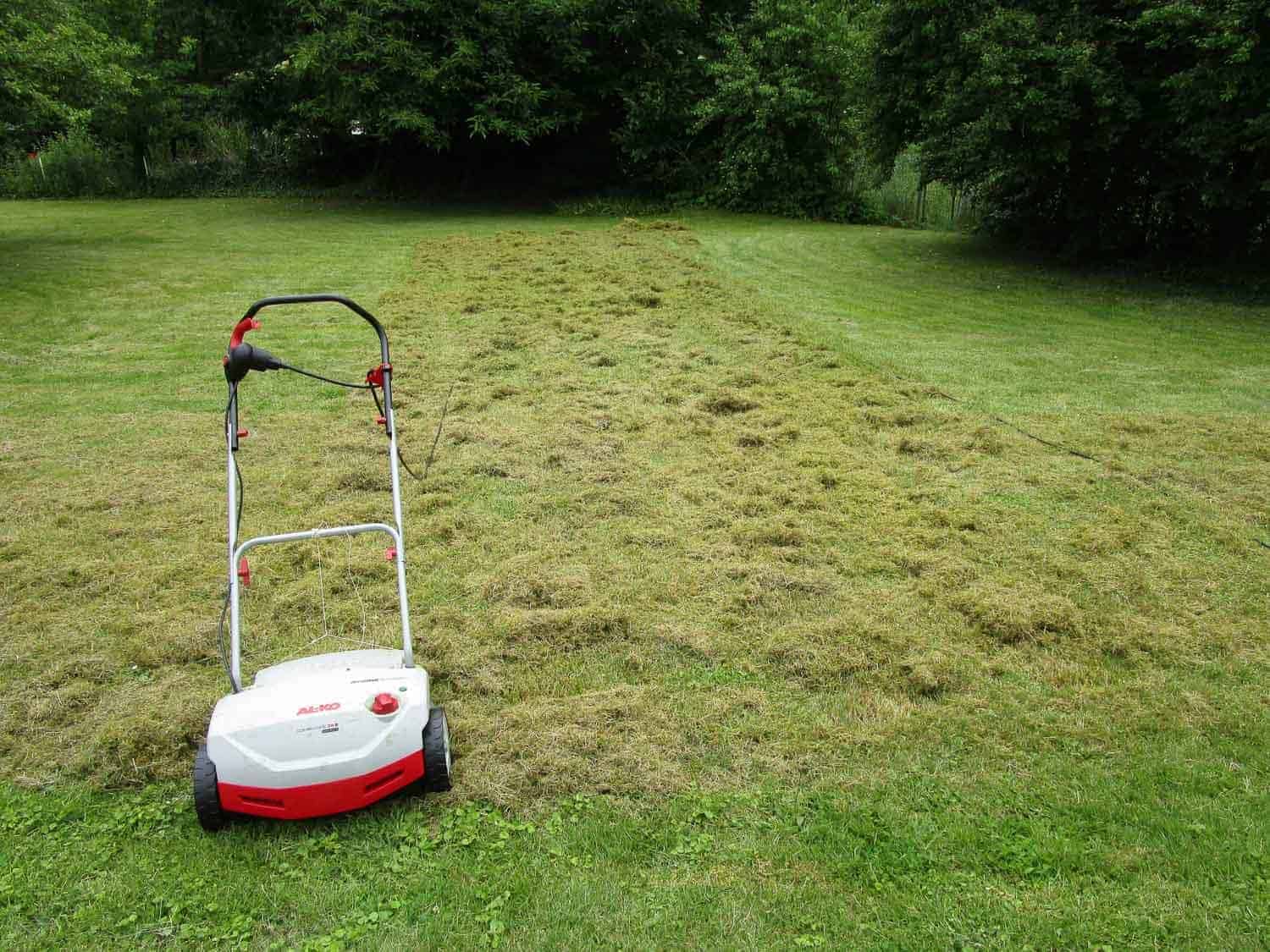 ALKO 112800 Combi Care 38 E Comfort Vertikutierer Test 2024
