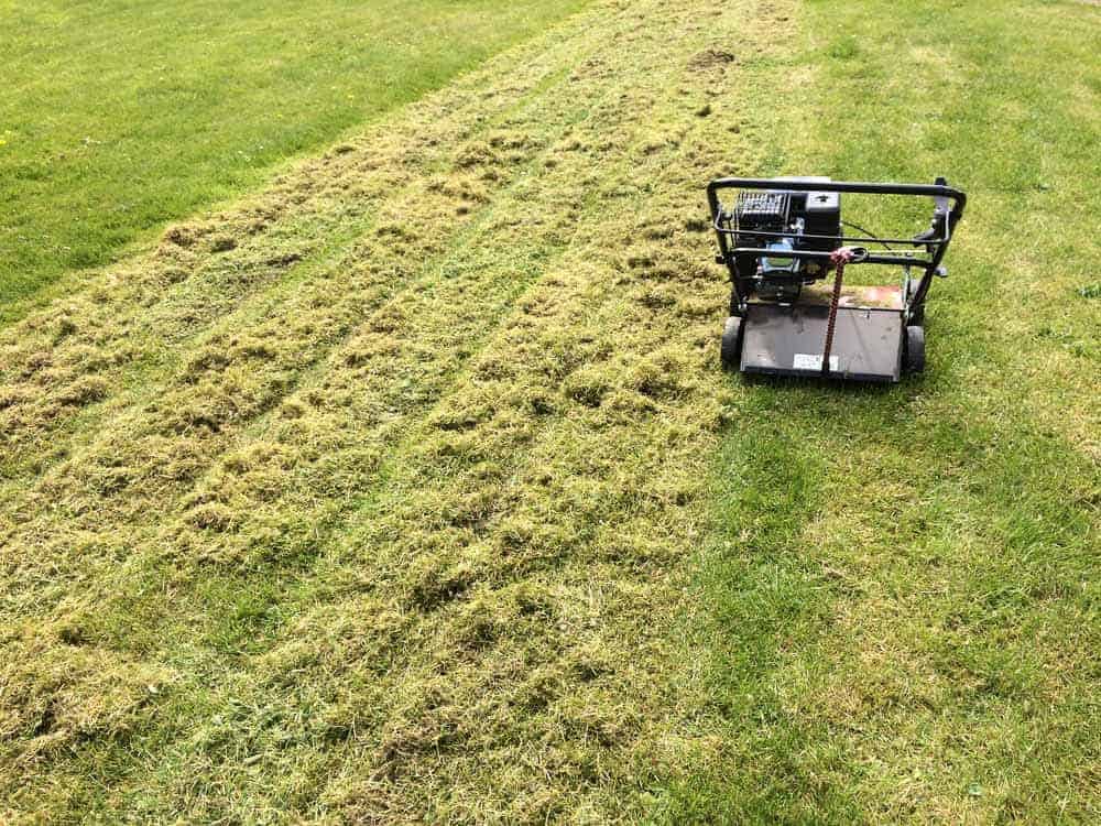 Einhell GC-SC 2240 P Auswurf 2