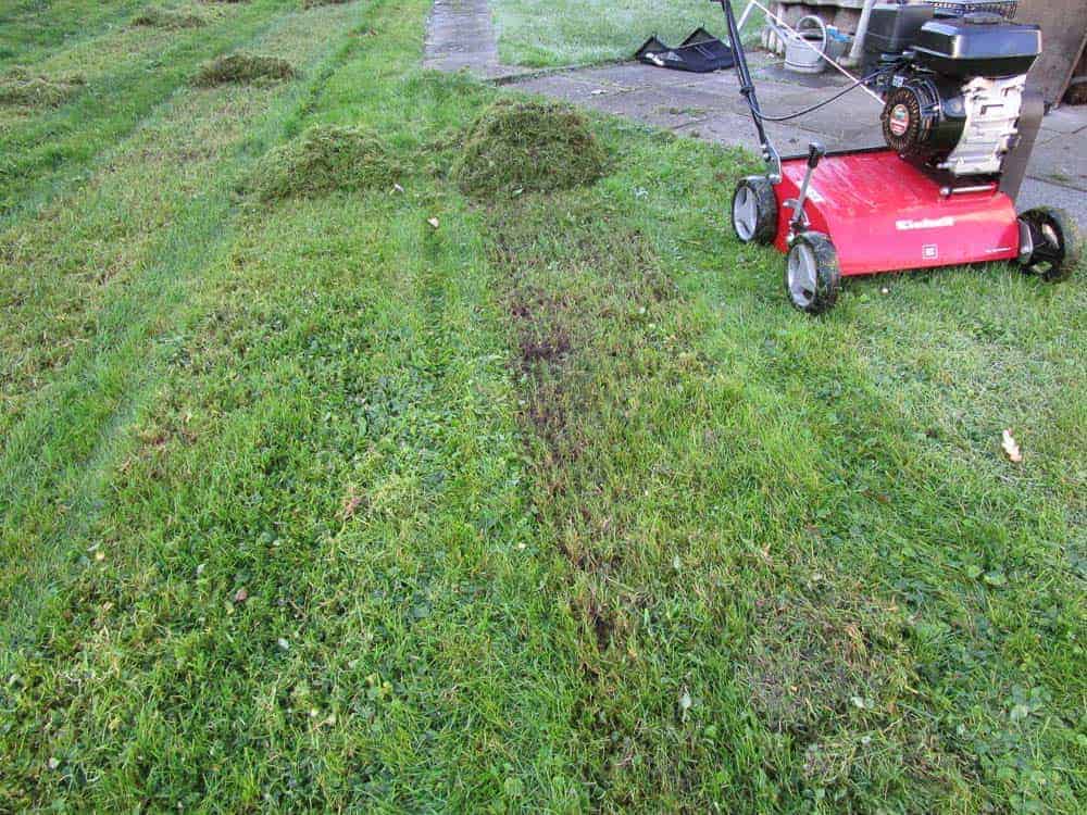 Einhell GC SC 2240 Testrasen