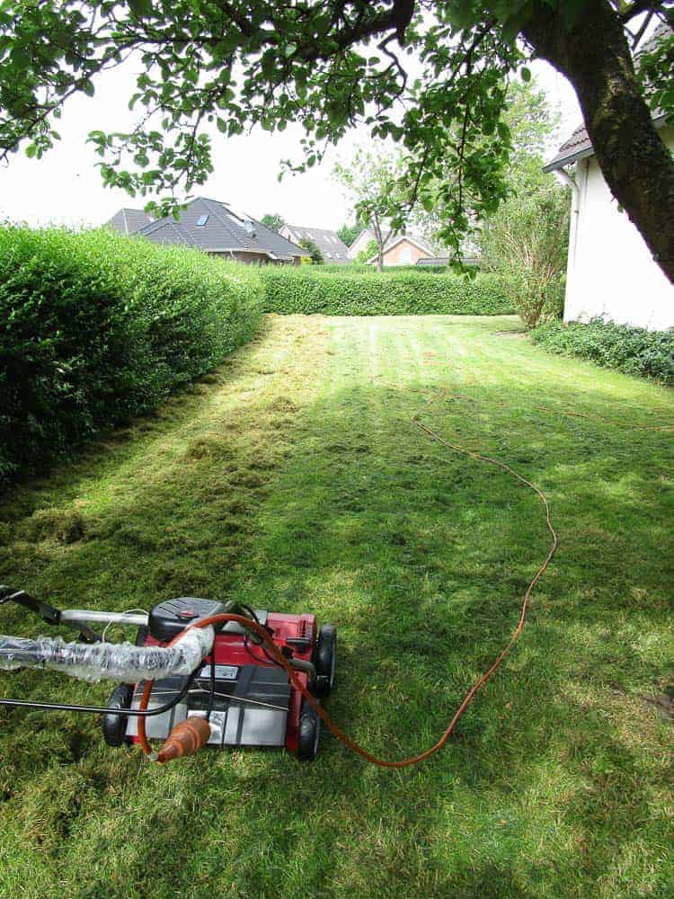 Einhell GE-SA 1640 Testrasen