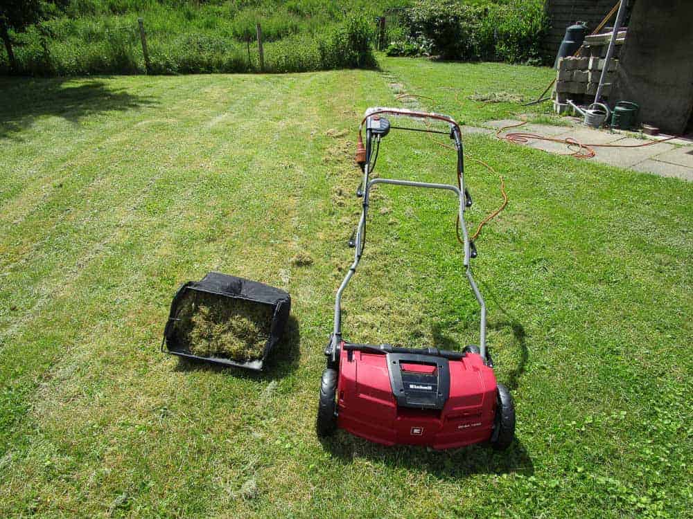 Einhell GE-SA 1640 im Einsatz