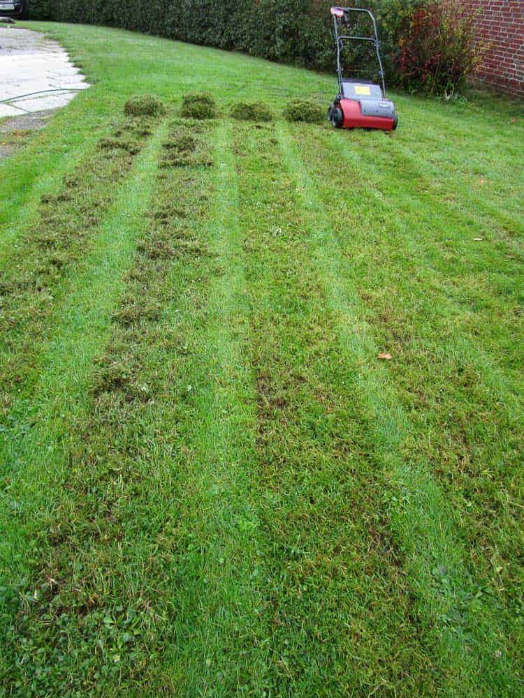 Einhell RG-SA 1433 Teststrecke