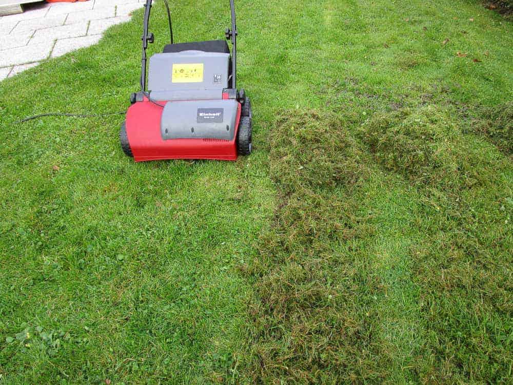Einhell RG-SA Auswurf