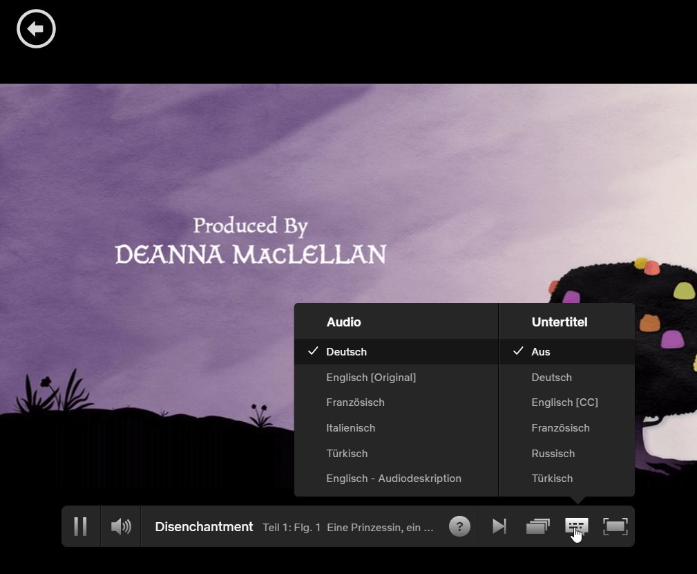 Netflix Video Player