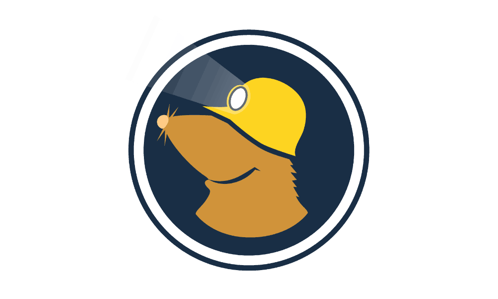 Provider Logo