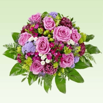 ALDI Blumen Test 2019