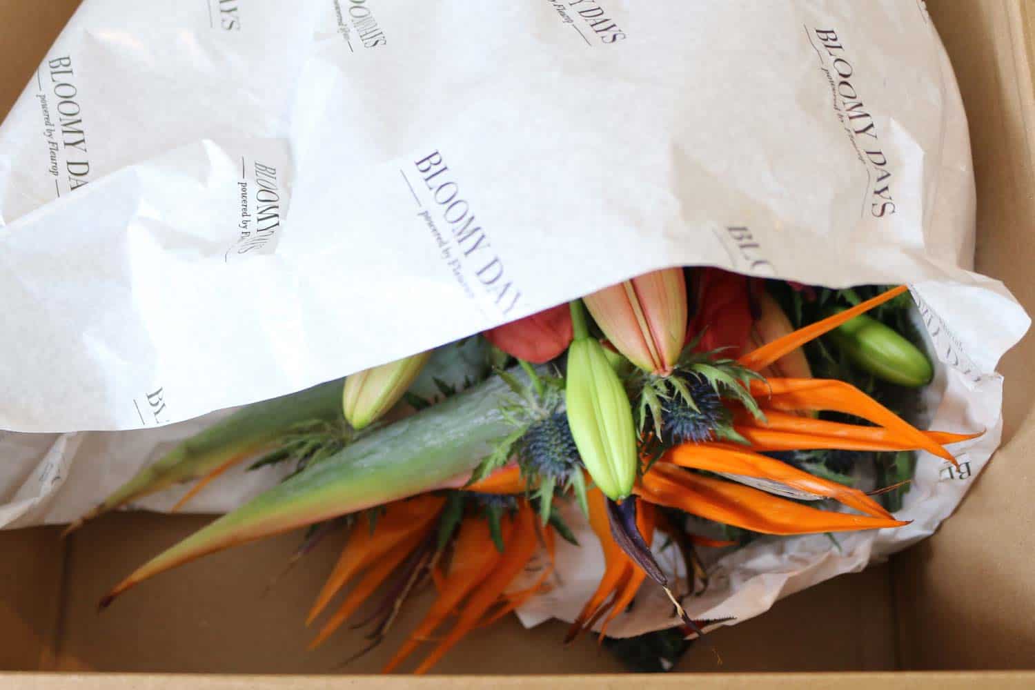 Bloomy Days Lieferung Unboxing