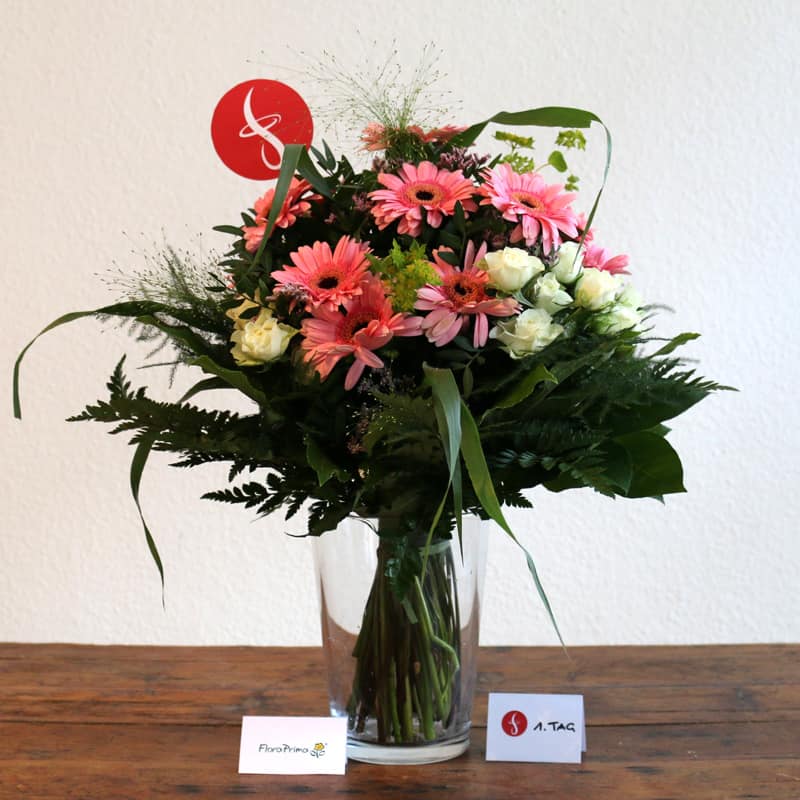 Floraprima Tag 1 Strauss