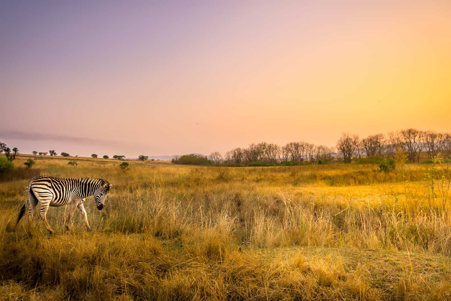 Landschaftsaufnahme mit Fuji Objektiv