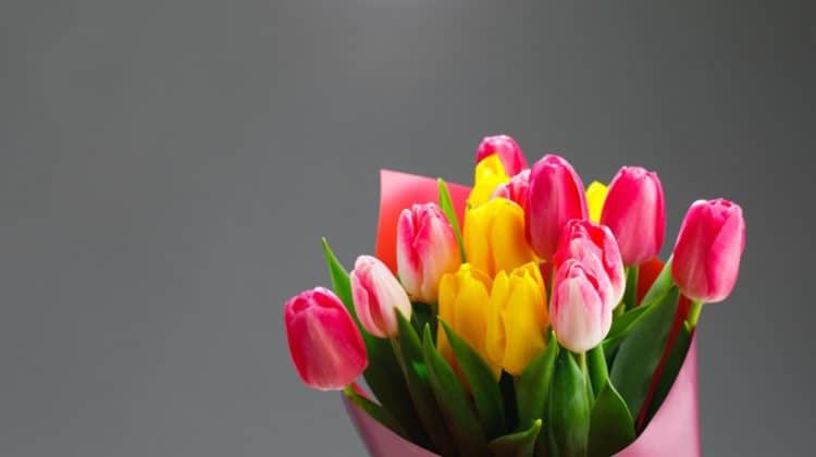 Blumen Zum Geburtstag Die Besten Blumen Onlineshops 2020