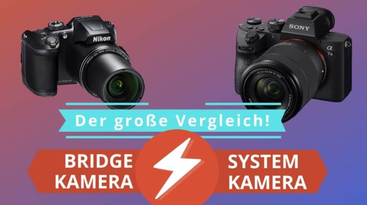 Bridgekamera oder Systemkamera Featured Image