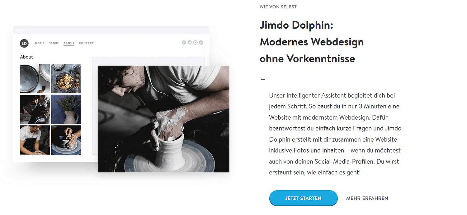 Jimdo Dolphin