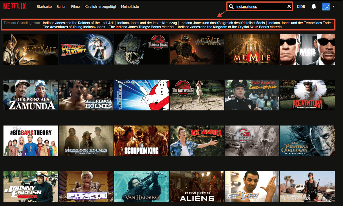 ProtonVPN Test - Erfolglose Suche nach Spielfilm bei deutschem Netflix